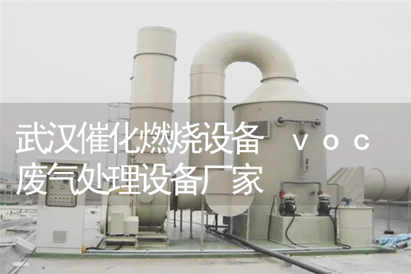 武汉催化燃烧设备 voc废气处理设备厂家